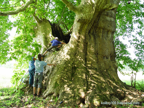 На поиски водопада (Абхазия).