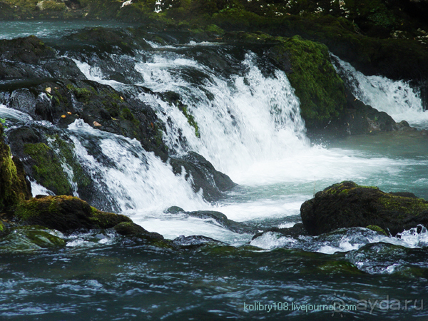 На поиски водопада (Абхазия).