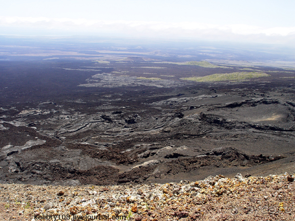 Галапагосы (продолжение 2).