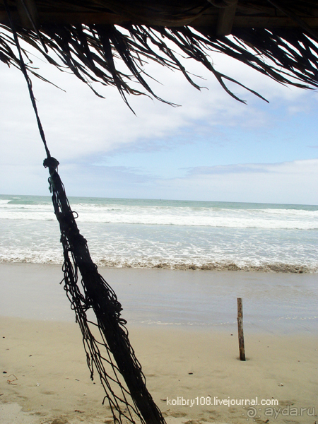 Галапагосы (продолжение 2).