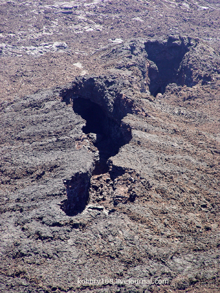 Галапагосы (продолжение 2).