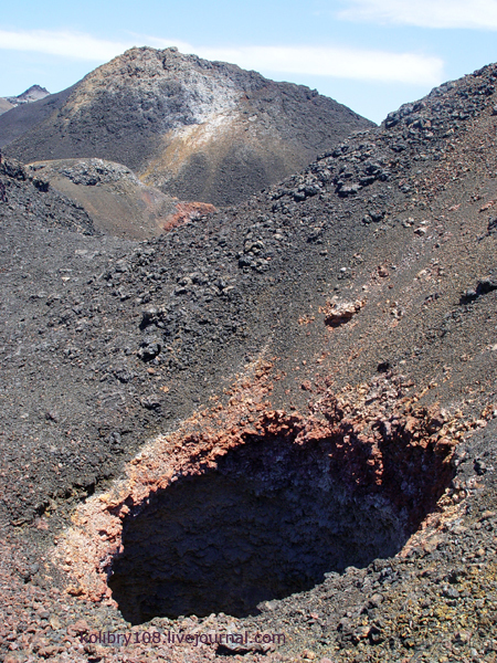 Галапагосы (продолжение 2).