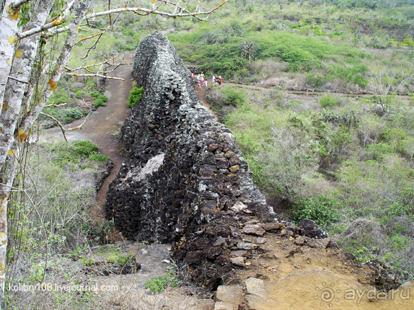 Галапагосы (продолжение 2).