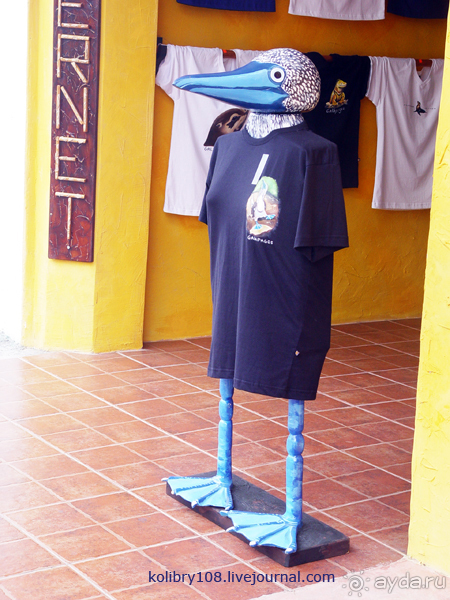 Галапагосы (продолжение 2).