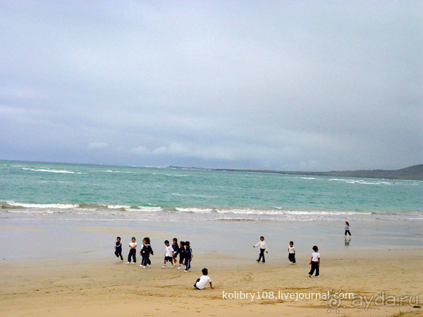 Галапагосы (продолжение 2).