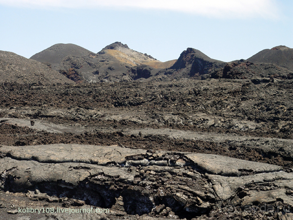 Галапагосы (продолжение 2).