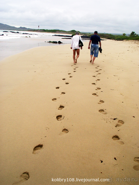 Галапагосы (продолжение 2).