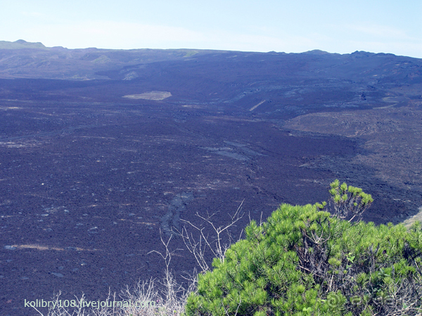 Галапагосы (продолжение 2).