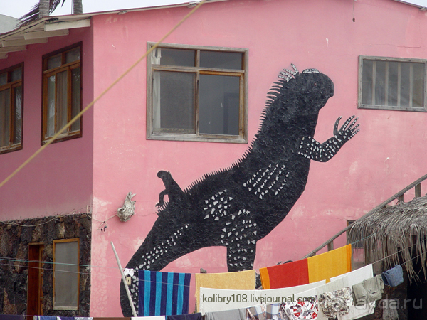 Галапагосы (продолжение 2).