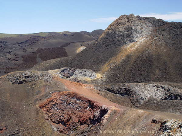 Галапагосы (продолжение 2).