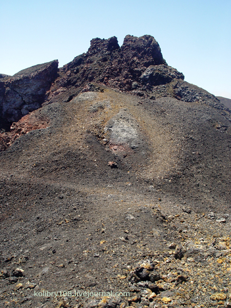 Галапагосы (продолжение 2).