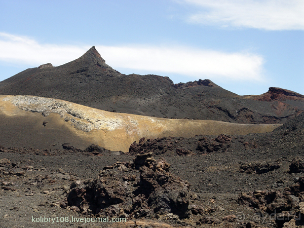 Галапагосы (продолжение 2).