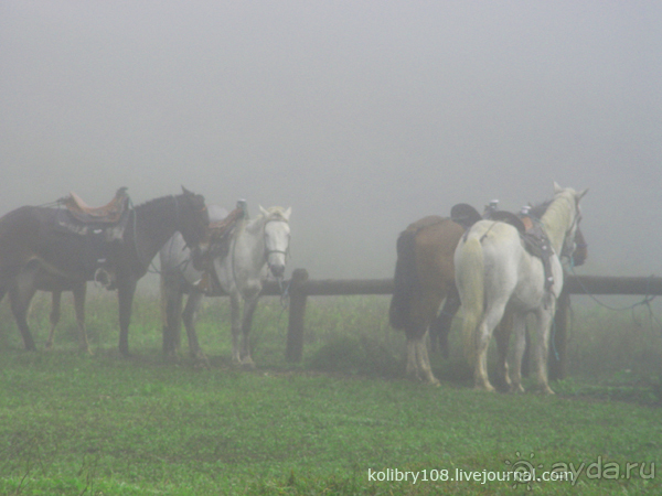 Галапагосы (продолжение 2).