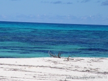 Сейшелы (окончание).