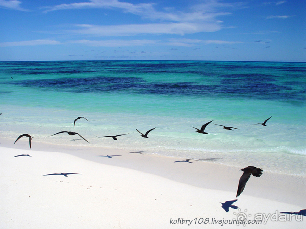 <a href=/seychelles/>Сейшелы</a> (окончание).