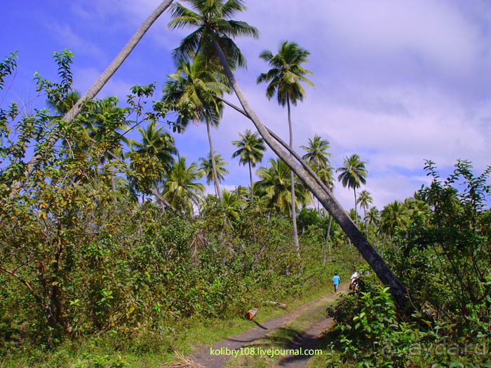 Горячие источники (Вануату).Остров Танна.