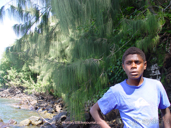 Горячие источники (Вануату).Остров Танна.