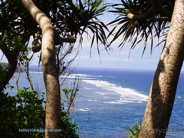 Горячие источники (Вануату).Остров Танна.
