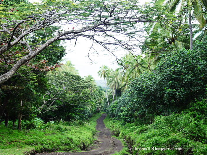 Горячие источники (Вануату).Остров Танна.