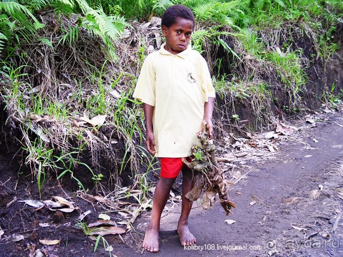 Горячие источники (Вануату).Остров Танна.