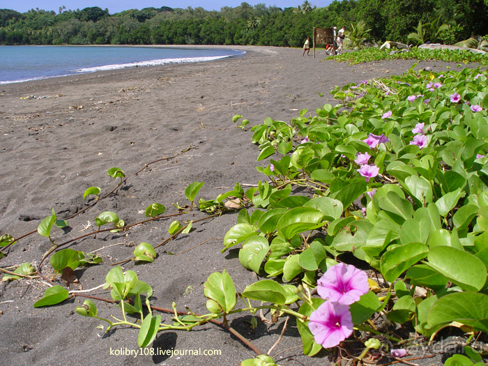 Горячие источники (Вануату).Остров Танна.