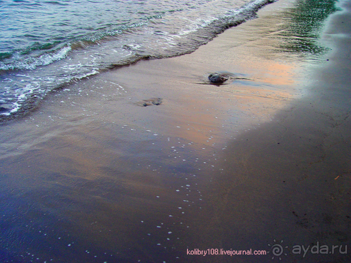 Горячие источники (Вануату).Остров Танна.