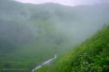 Праздник тумана.