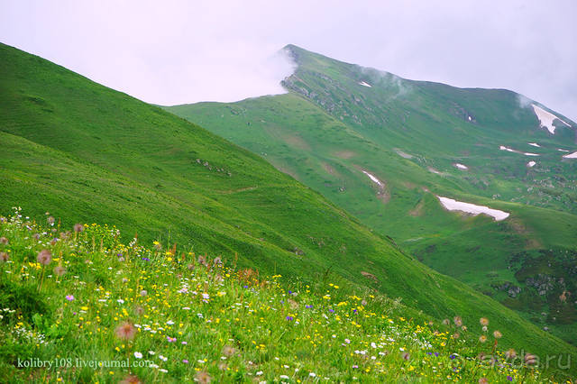 Праздник тумана.