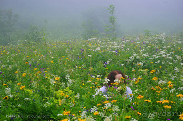 Праздник тумана.