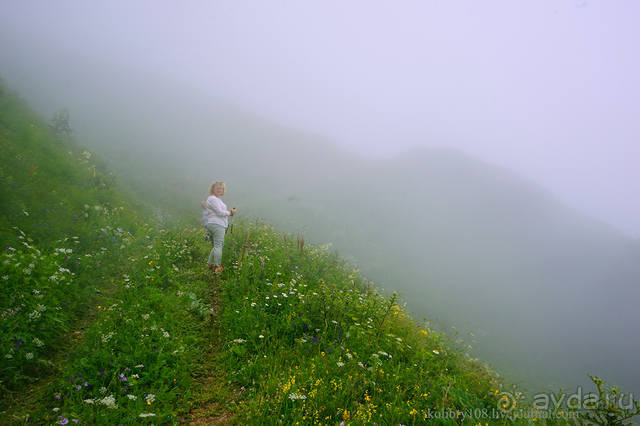 Праздник тумана.