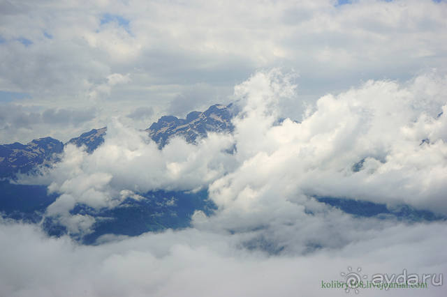 Праздник тумана.