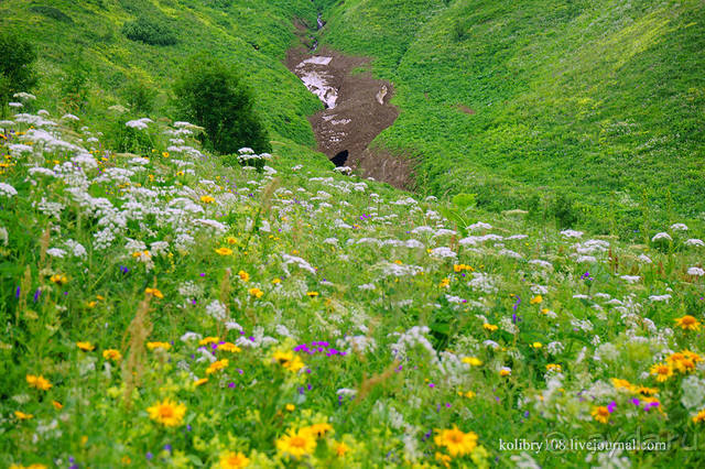 Праздник тумана.