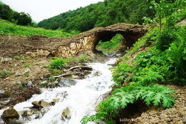 Праздник тумана.