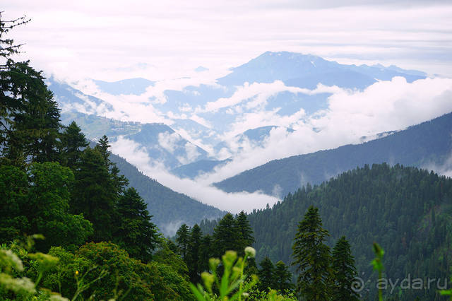 Праздник тумана.