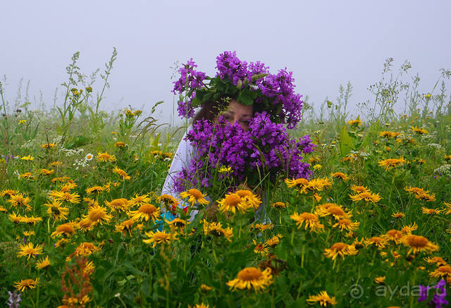 Праздник тумана.