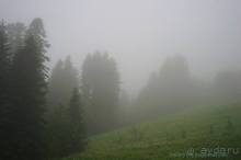 Праздник тумана.