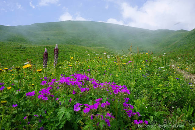 Праздник тумана.