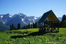 Лекарство гор