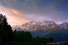 Лекарство гор