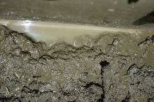 Лекарство гор