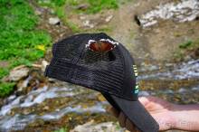 Лекарство гор