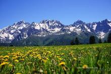 Лекарство гор