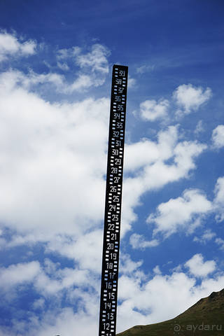 Лекарство гор