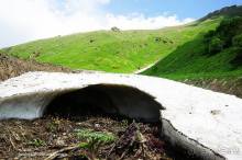 Лекарство гор