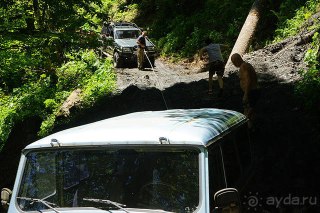 Лекарство гор