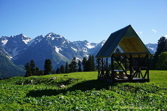 Лекарство гор