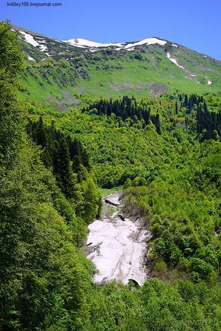 Лекарство гор