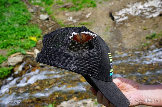 Лекарство гор