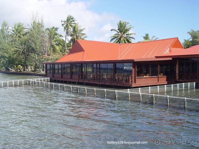 Чьи аборигены съели Кука? И про знакомых королей (остров Таити).