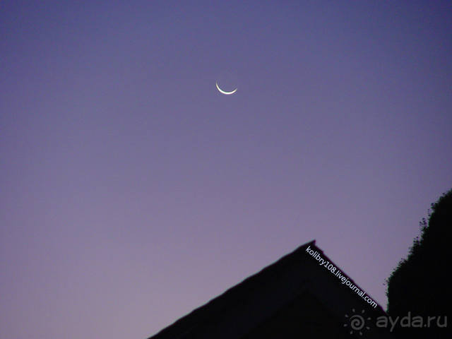 Чьи аборигены съели Кука? И про знакомых королей (остров Таити).